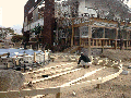 iris pool 20.gif